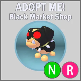 The Black Dog NR
