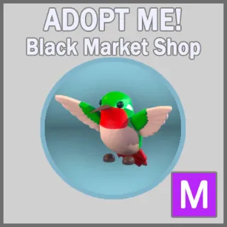 Hummingbird M