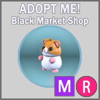 Hamster MR