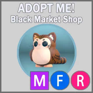 Purrowl MFR