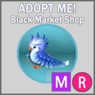 Frost Phoenix MR