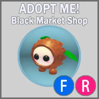 Coconut Friend FR