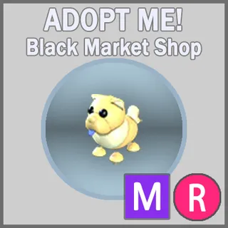 Golden Chow-Chow MR