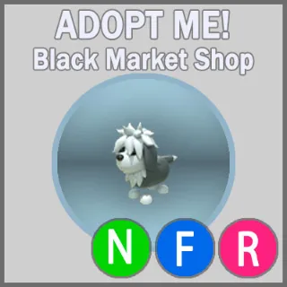 English Sheepdog NFR