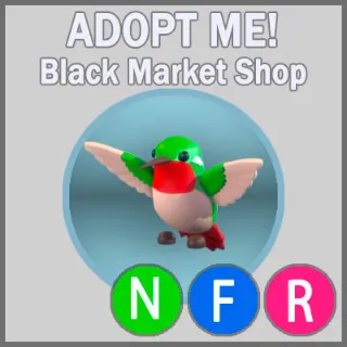 Hummingbird NFR