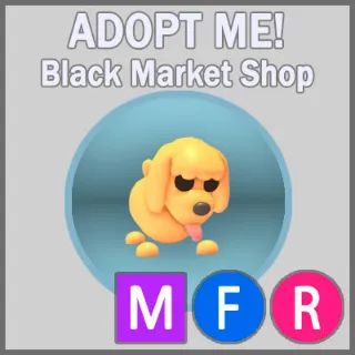 Toy Poodle MFR