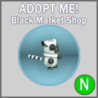 Ring-tailed Lemur N