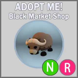 Musk Ox NR