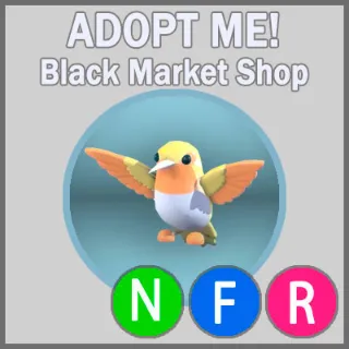 Golden Hummingbird NFR