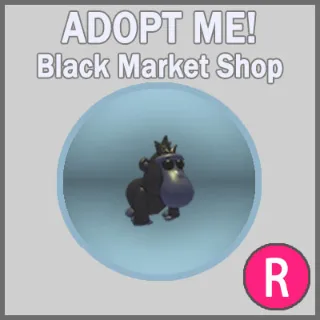 Black Macaque R