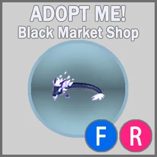 Midnight Dragon FR