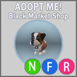 St Bernard NFR