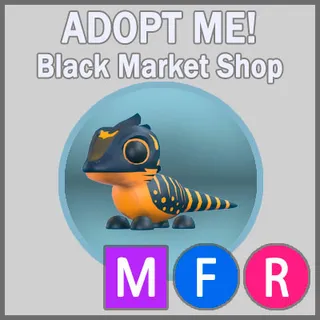 Tegu MFR