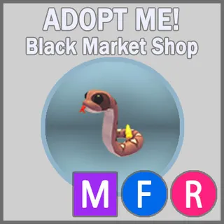 Rattlesnake MFR