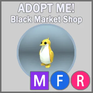 Golden King Penguin MFR