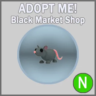 Rat N