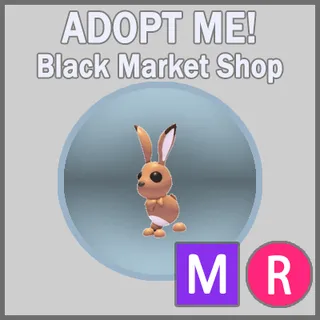 Hare MR