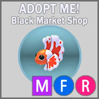 Orange Betta Fish MFR