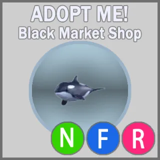 Orca NFR