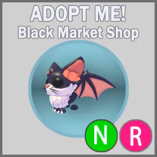 Kitty Bat NR