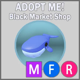 Blue Whale MFR