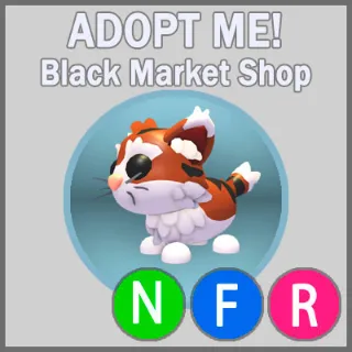 Munchkin Cat NFR