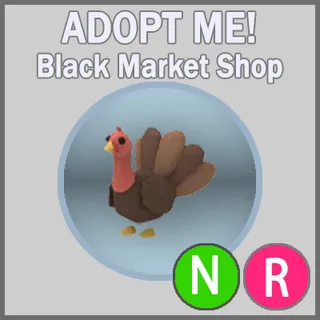Turkey NR