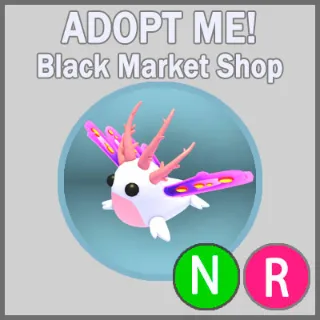 Sea Slug NR