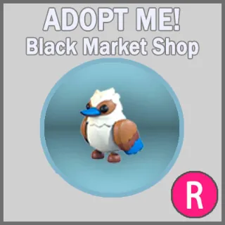 Kookaburra R