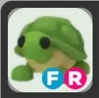 Adopt Me | FR Turtle