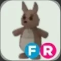 Adopt Me | FR Kangaroo