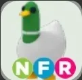 Adopt Me | NFR Silly Duck