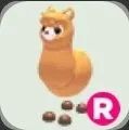 Adopt Me | R Alpaca