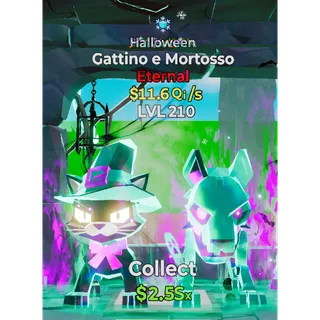 Gattino e Mortosso Halloween 11.6Qi Level 210 ,1 trait