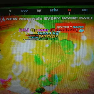 Mine A Mountain 2.56M Cr