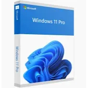  Windows 11 Professional OEM Key