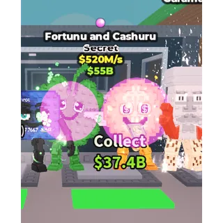  Fortunu and Cashuru 520M/s