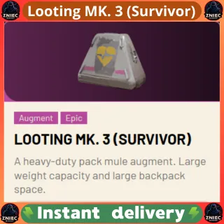 Looting MK. 3 (Survivor) | ARC Raiders