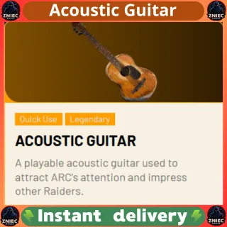 Acoustic Guitar | ARC Raiders