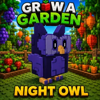 Night Owl