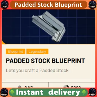 Padded Stock Blueprint | ARC Raiders