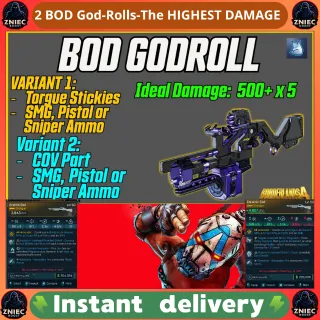 2x BOD God-Rolls-The HIGHEST DAMAGE Gun in 5X Damage! | Borderlands 4