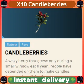 X10 Candleberries | ARC Raiders