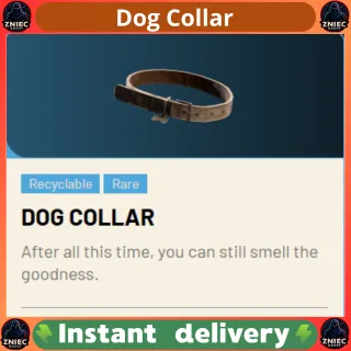Dog Collar | ARC Raiders