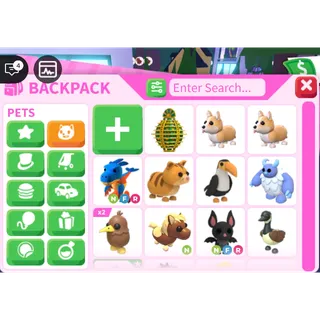 WHOLE INVENTORY | ADOPT ME!