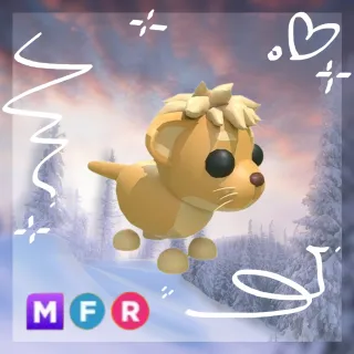 MFR lion cub | adopt me pet