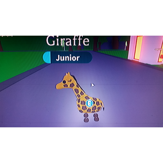 Pet Adopt Me Giraffe In Game Items Gameflip