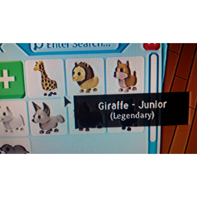Pet Adopt Me Giraffe In Game Items Gameflip