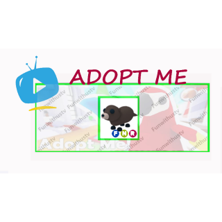 Pet Otter Neon Fly Ride In Game Items Gameflip - adopt me otter roblox