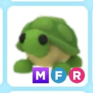 MFR Turtle - Adopt me